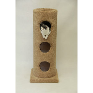 BeatrisePetProducts 13" Cat Condo & Reviews | Wayfair